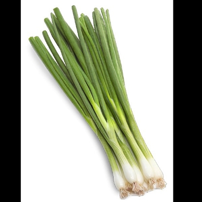 Picture of Salad Onion Ramrod
